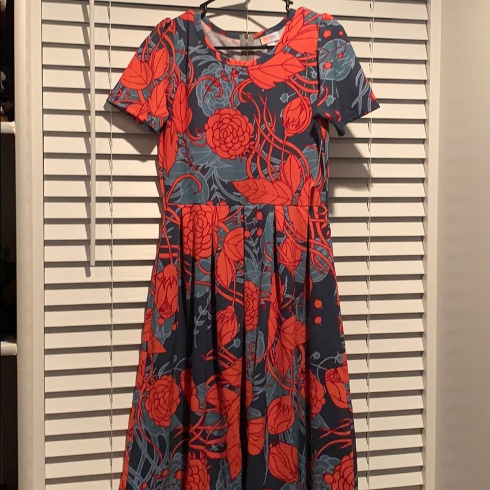 Lularoe Amelia size large